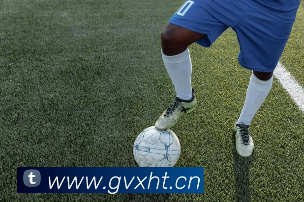 leyu乐鱼中国官方网站平台生态图